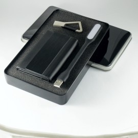 Set-SFL0101